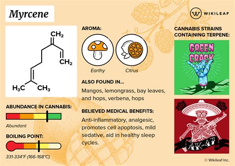 beta myrcene cancer|Beta.